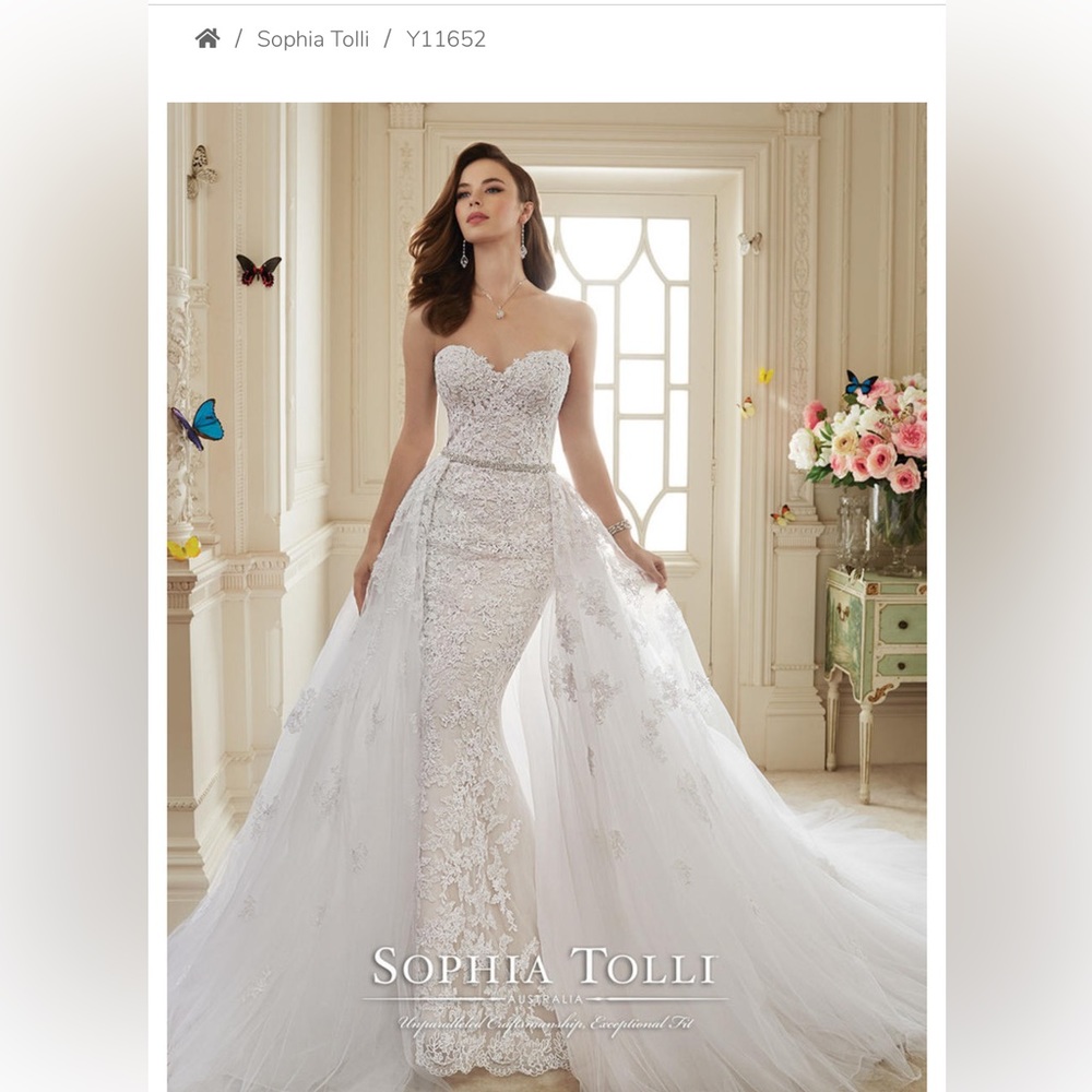 MAEVE-SOPHIA TOLLI Y11652